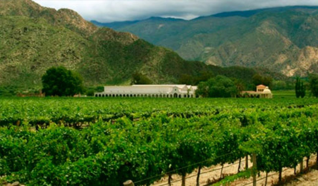 Ruta del Vino del Hotel Killa de Cafayate en Salta, Argentina